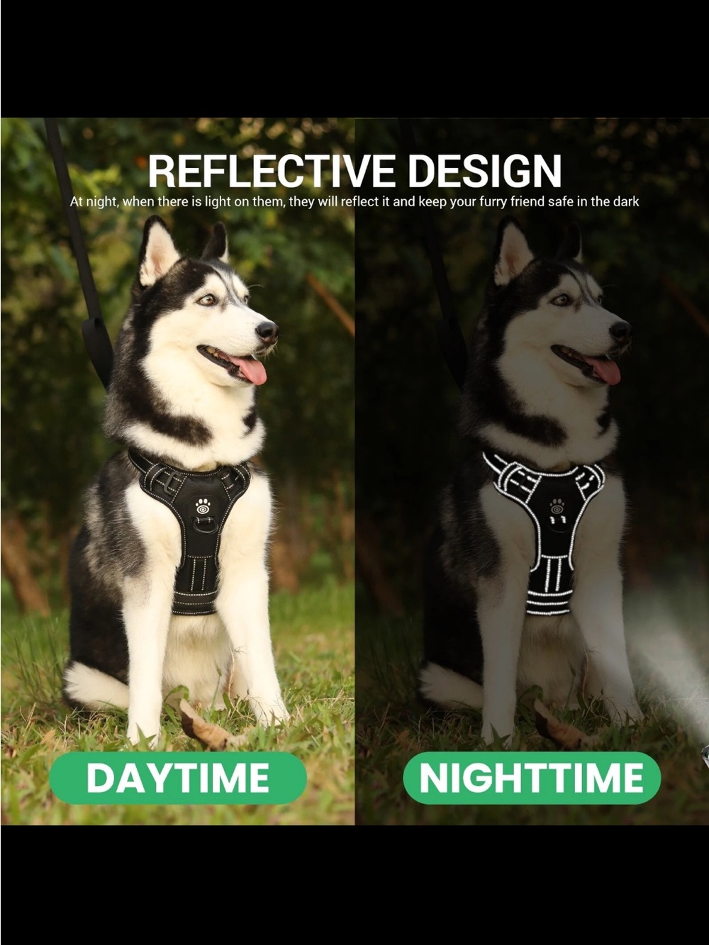 1 LED Rechargeable Dog Harness — Choose Size & Color
